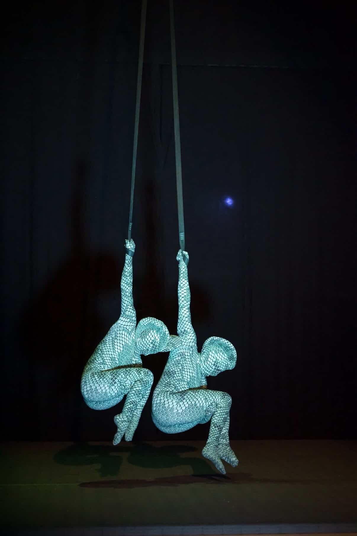 Two aerial performers wear custom-made Green Pixel Cobra snake print catsuits and headdresses, hanging upside down on straps against a dark background for a striking contortionist or serpent cosplay display.
