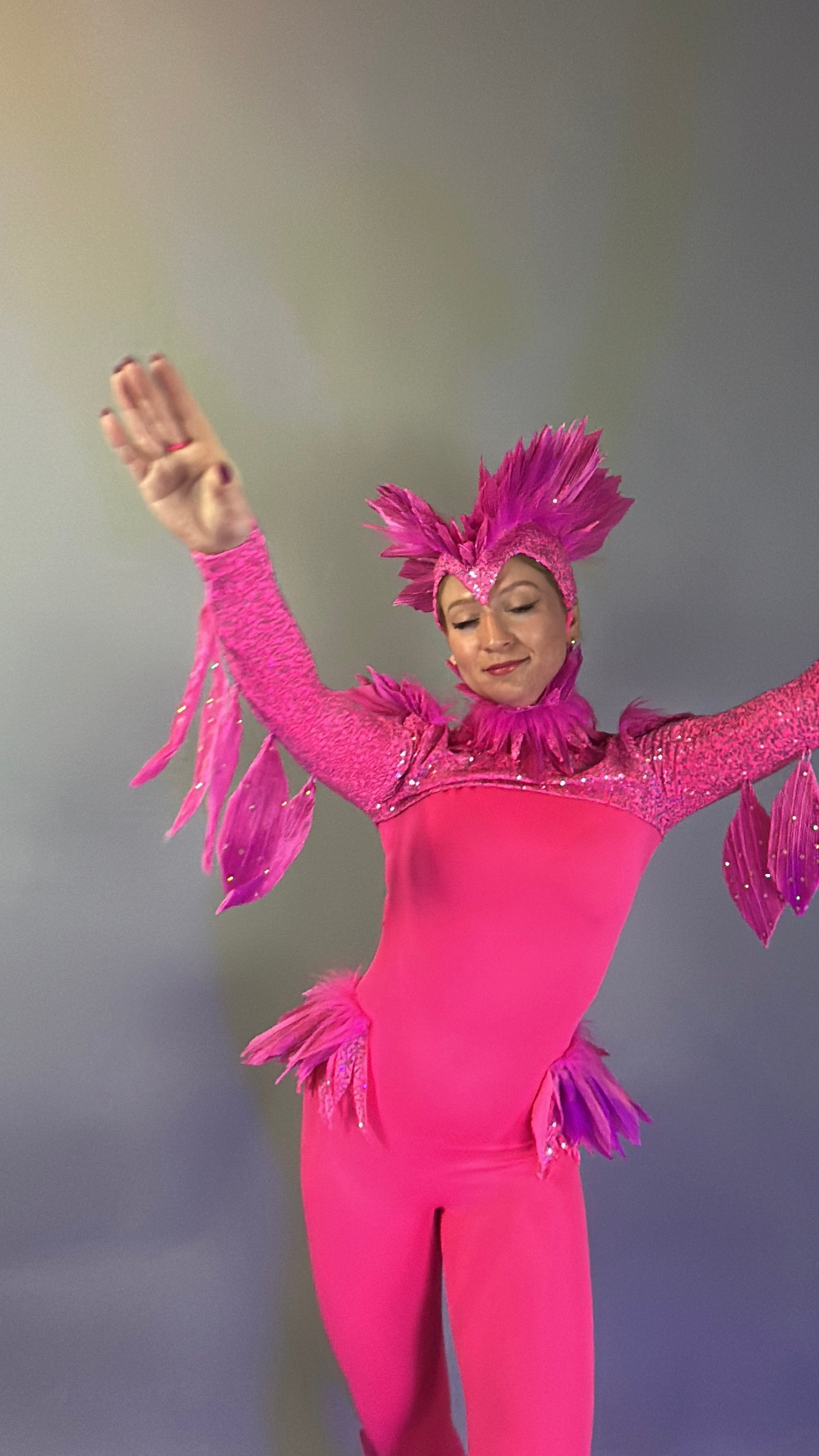 Dressed in the Pink bird full costume for aerial and dancers, complete with feathered headpiece and sleeves—ideal for stage performances and theatrical shows.