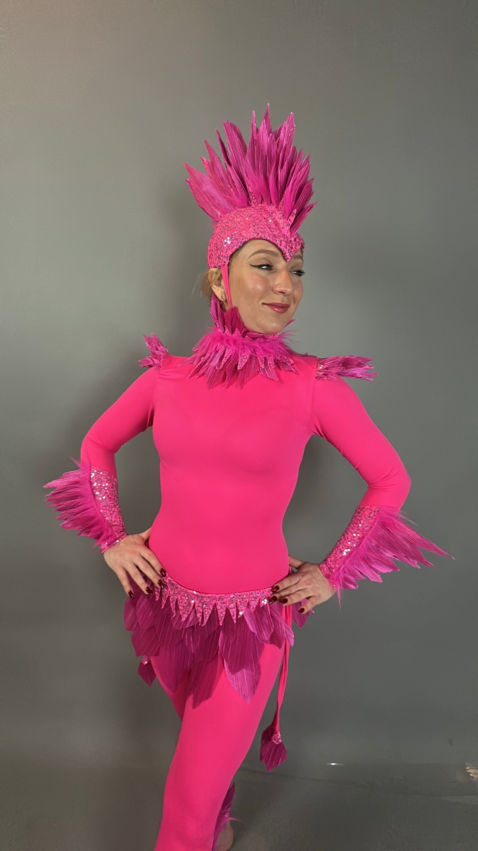 Dressed in a bright pink bird full costume for aerial gymnastics, dancers, and TV productions—ideal for vibrant performances with feathered details and a spiky headpiece.