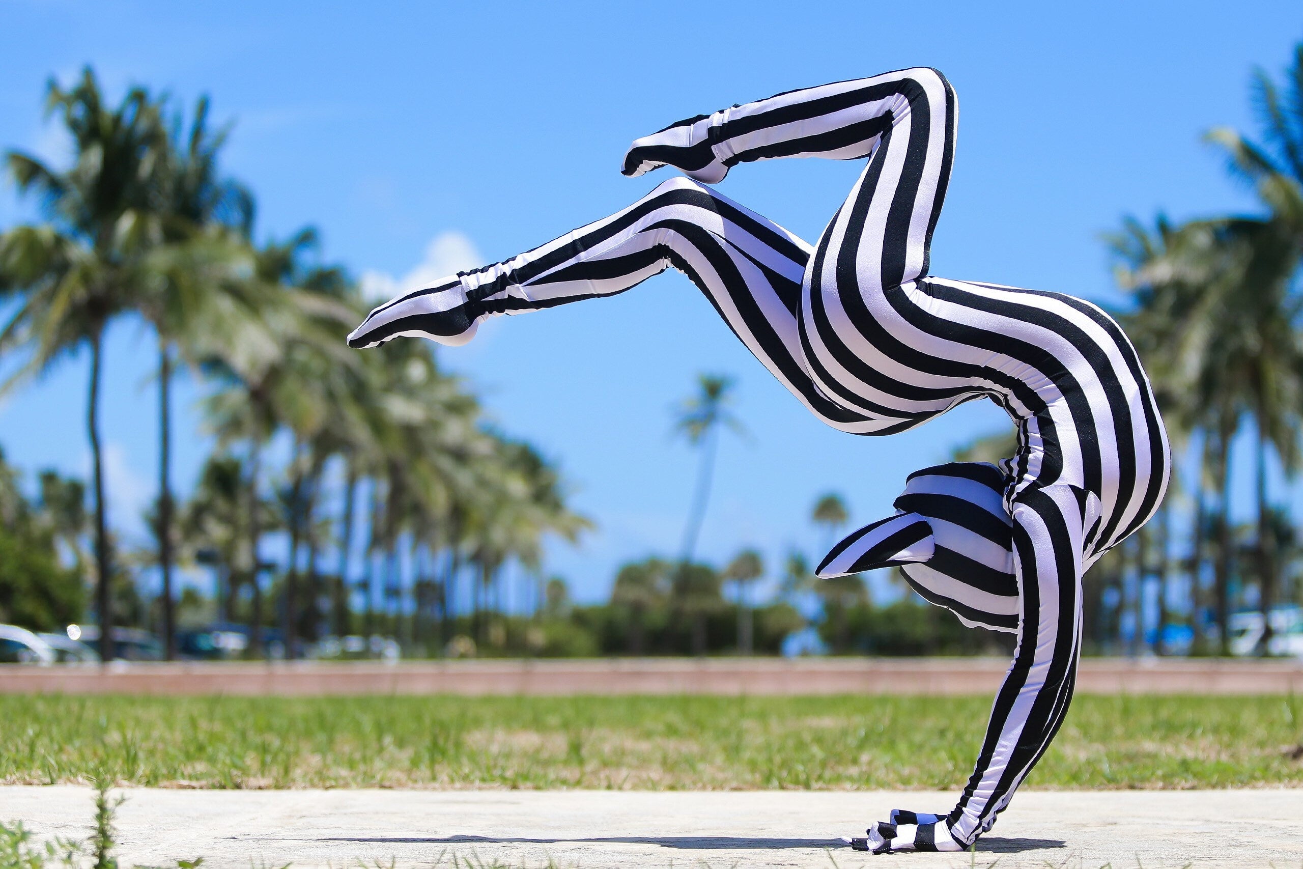 Black & White Striped Catsuit Costume, Headpiece With Cat Ears, Gloves, Socks
