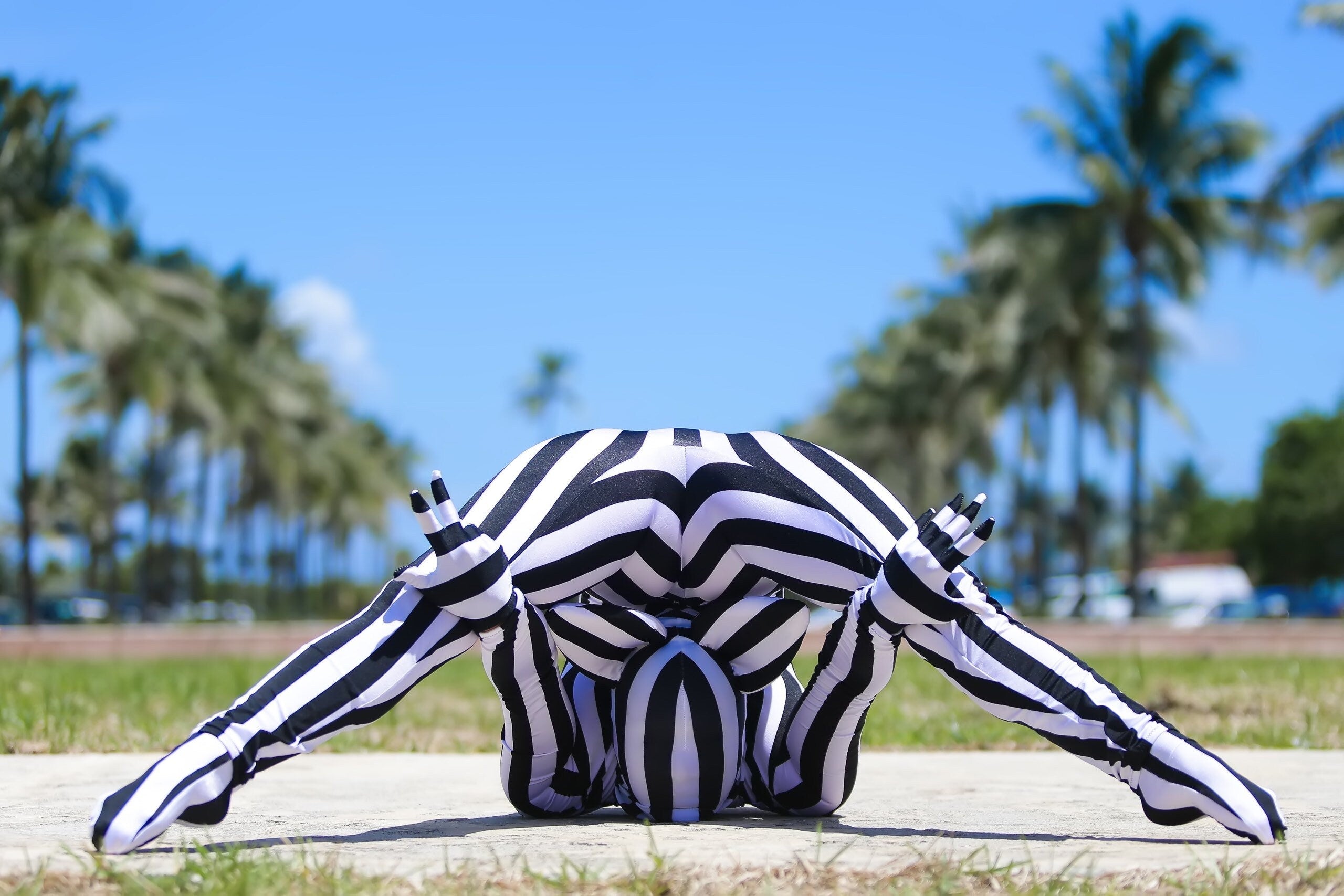 Black & White Striped Catsuit Costume, Headpiece With Cat Ears, Gloves, Socks
