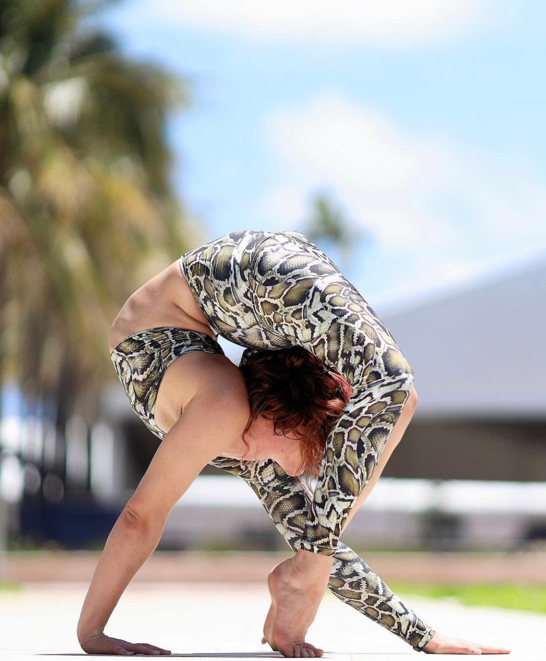 Snake Print Exotic Dance Bodysuit Jumpsuit for Contortionist and Aerial Wear