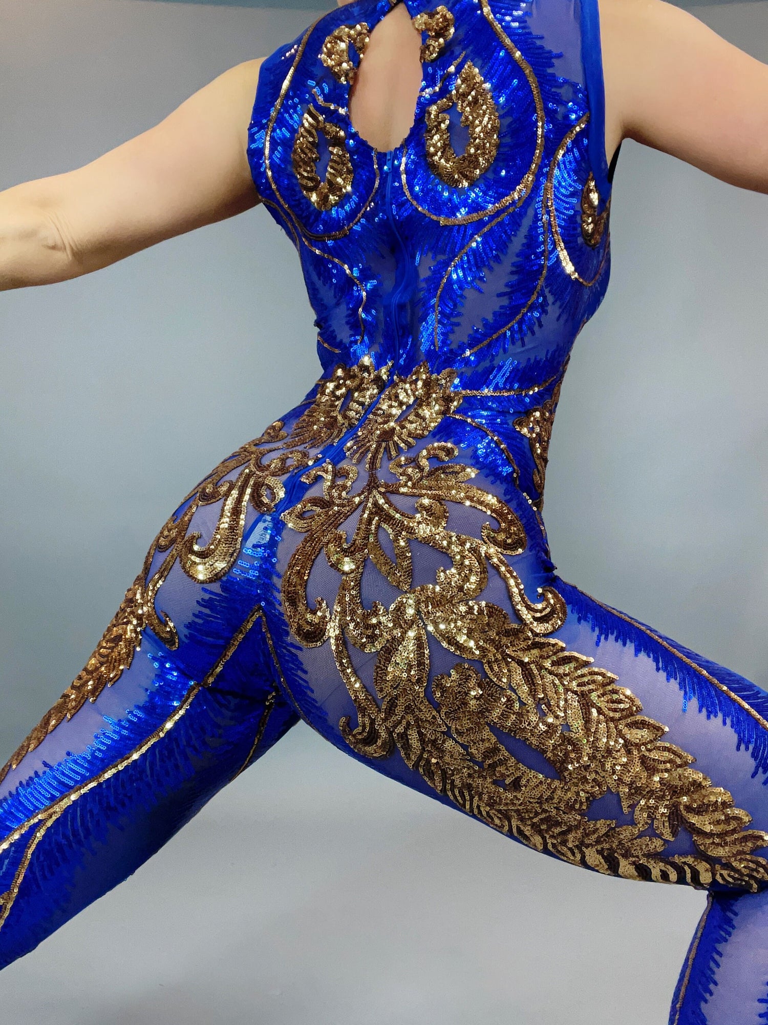 Sheer Catsuit, Sequins Jumpsuit, Circus Costume, Dancewear, Gogo Outfit, Contortionist Unitard, Aerial Gifts
