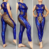 Sheer Catsuit, Sequins Jumpsuit, Circus Costume, Dancewear, Gogo Outfit, Contortionist Unitard, Aerial Gifts