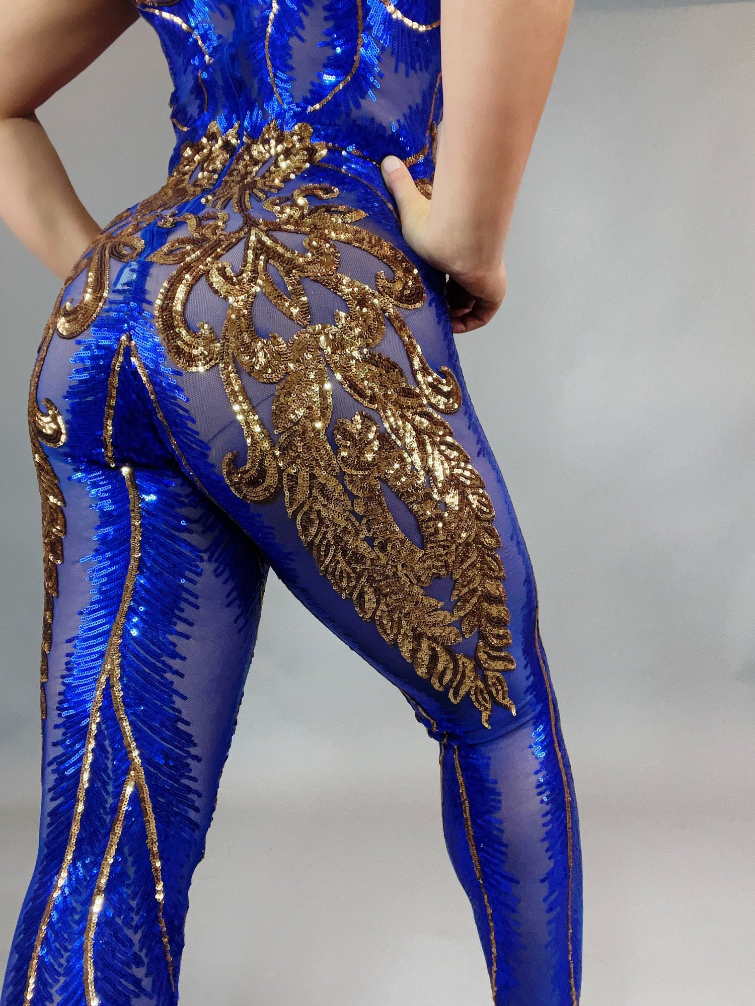 Sheer Catsuit, Sequins Jumpsuit, Circus Costume, Dancewear, Gogo Outfit, Contortionist Unitard, Aerial Gifts