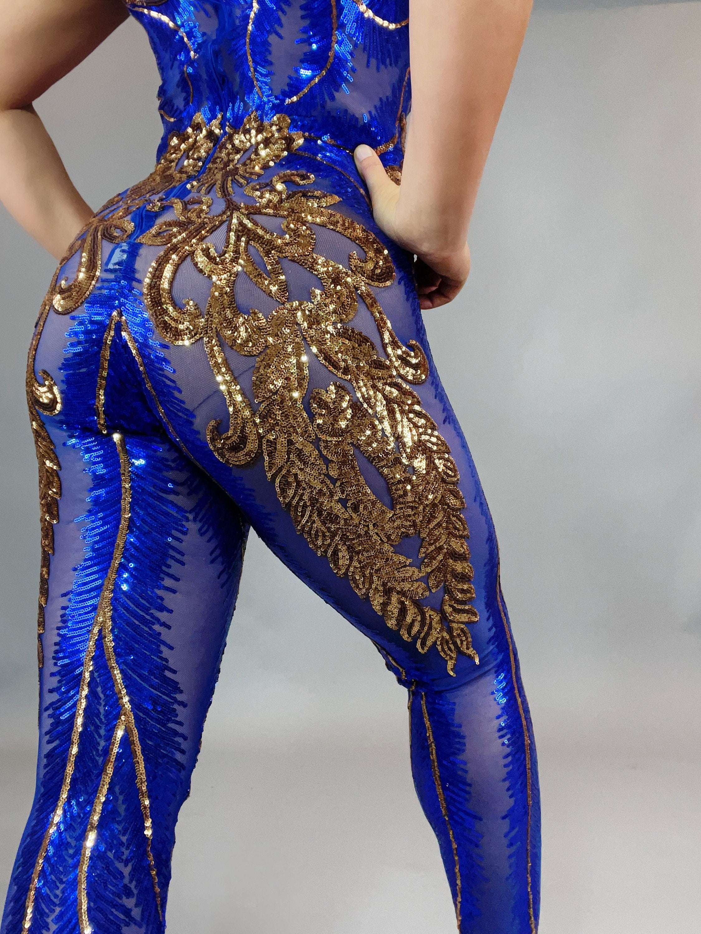 Sheer Catsuit, Sequins Jumpsuit, Circus Costume, Dancewear, Gogo Outfit, Contortionist Unitard, Aerial Gifts