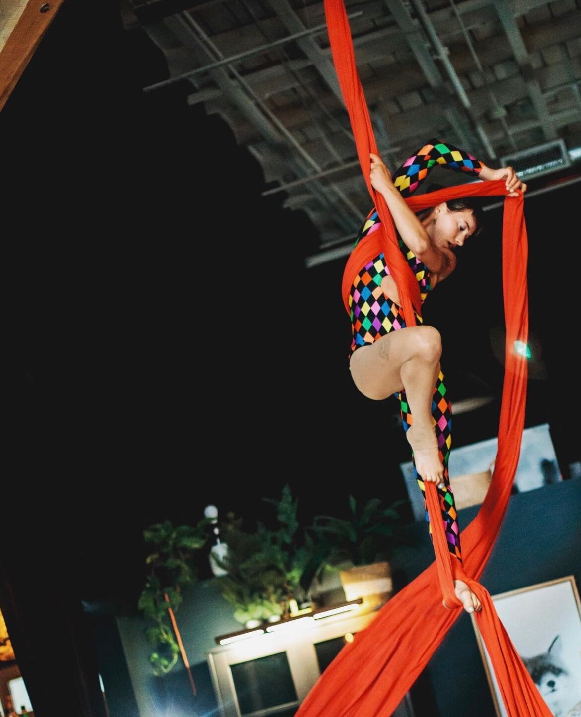 Multicolor Harlequin Catsuit, Spandex Jumpsuit, Asymmetric Design, Cut-outs