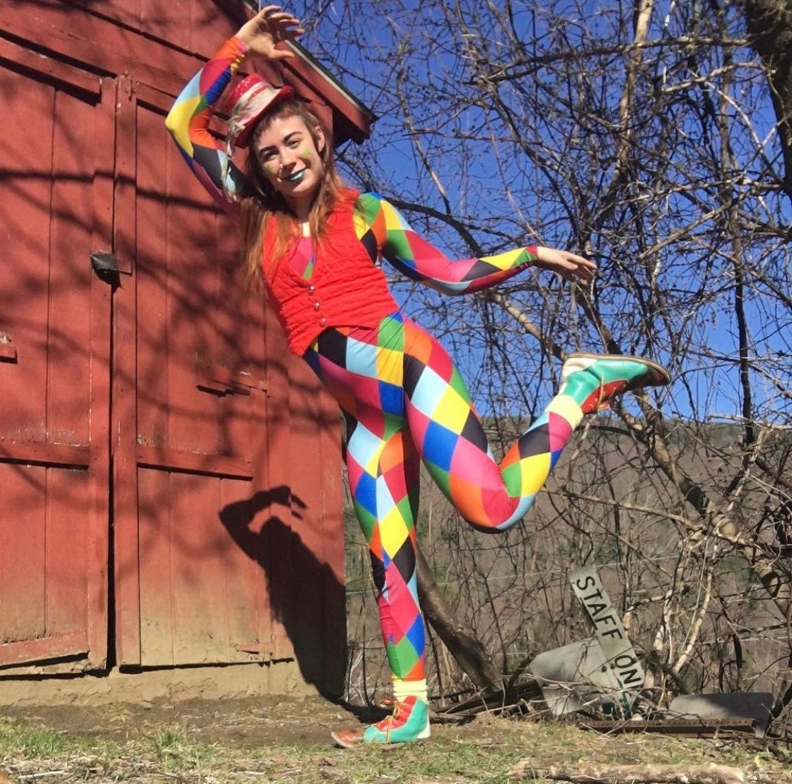 Multicolor Catsuit, Harlequin Costume, Full Sleeves, Scoop Neck