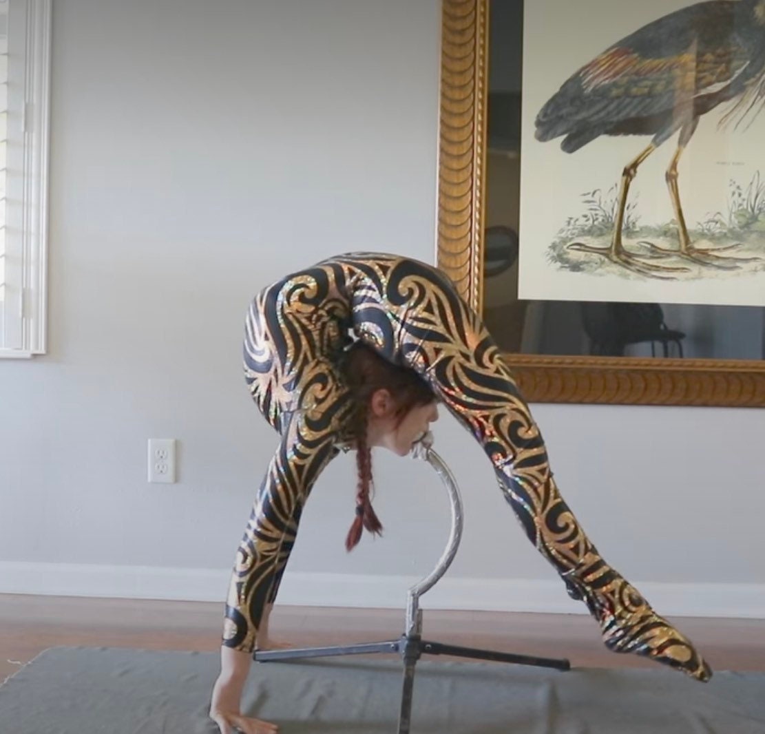 Cat Costume, Beautiful Fantasy Headpiece, Halloween Costume, Dancewear, Spandex Catsuit, Trending Now