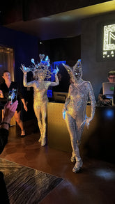 Silver Fairy Costume, Sequin Jumpsuit, Beautiful Exotic Dance Wear, Disco Night, Club Outfit, Gymnastic Unitard, Trending Now