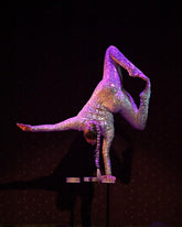 Beautiful Sheer Bodysuit, Exotic dance wear, see-trough catsuit, Trending Now, iridescent Costume. Festivals fadhion