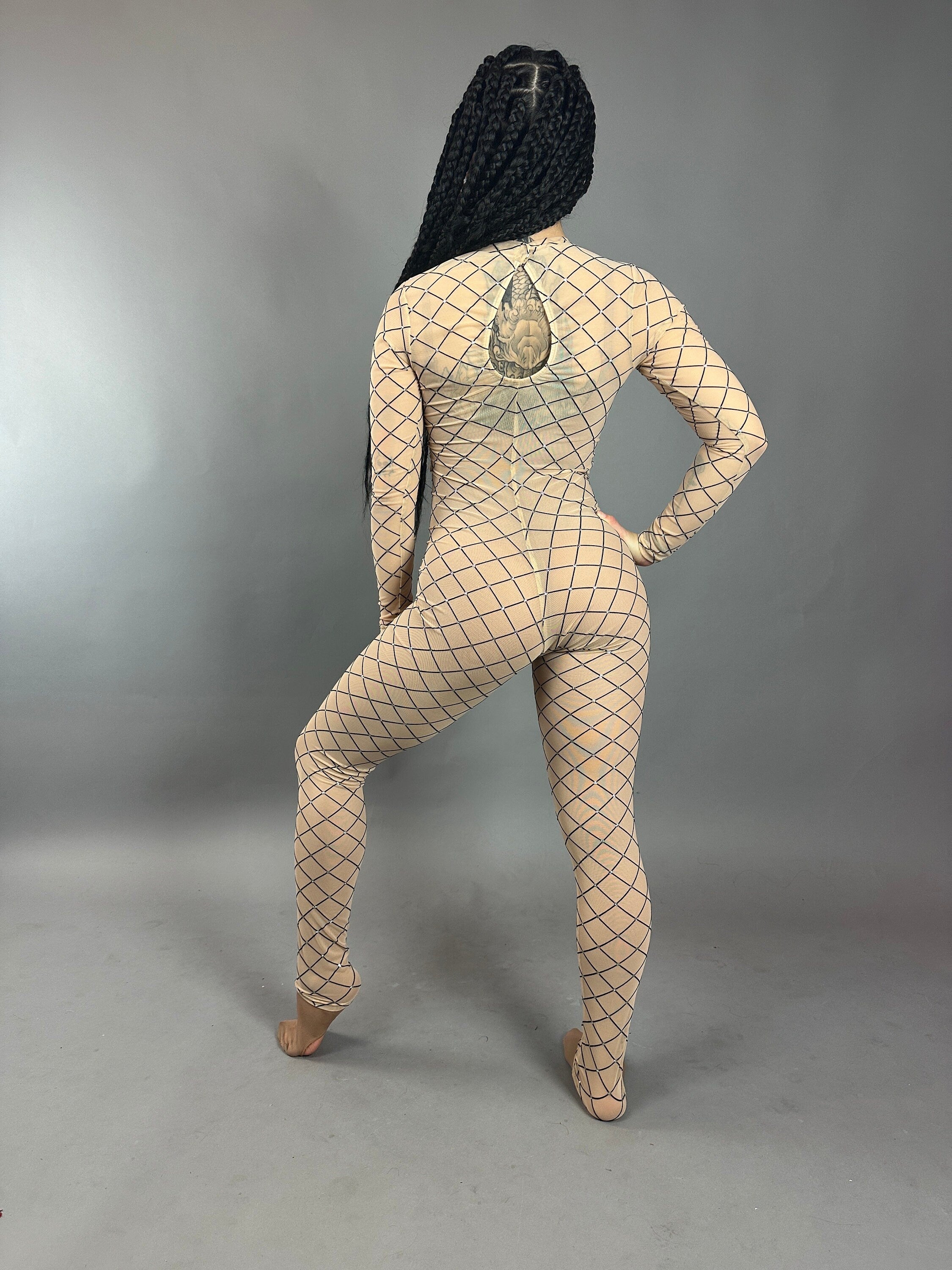 Sheer Bodysuit, Crewneck Catsuit, Full Sleeves Jumpsuit