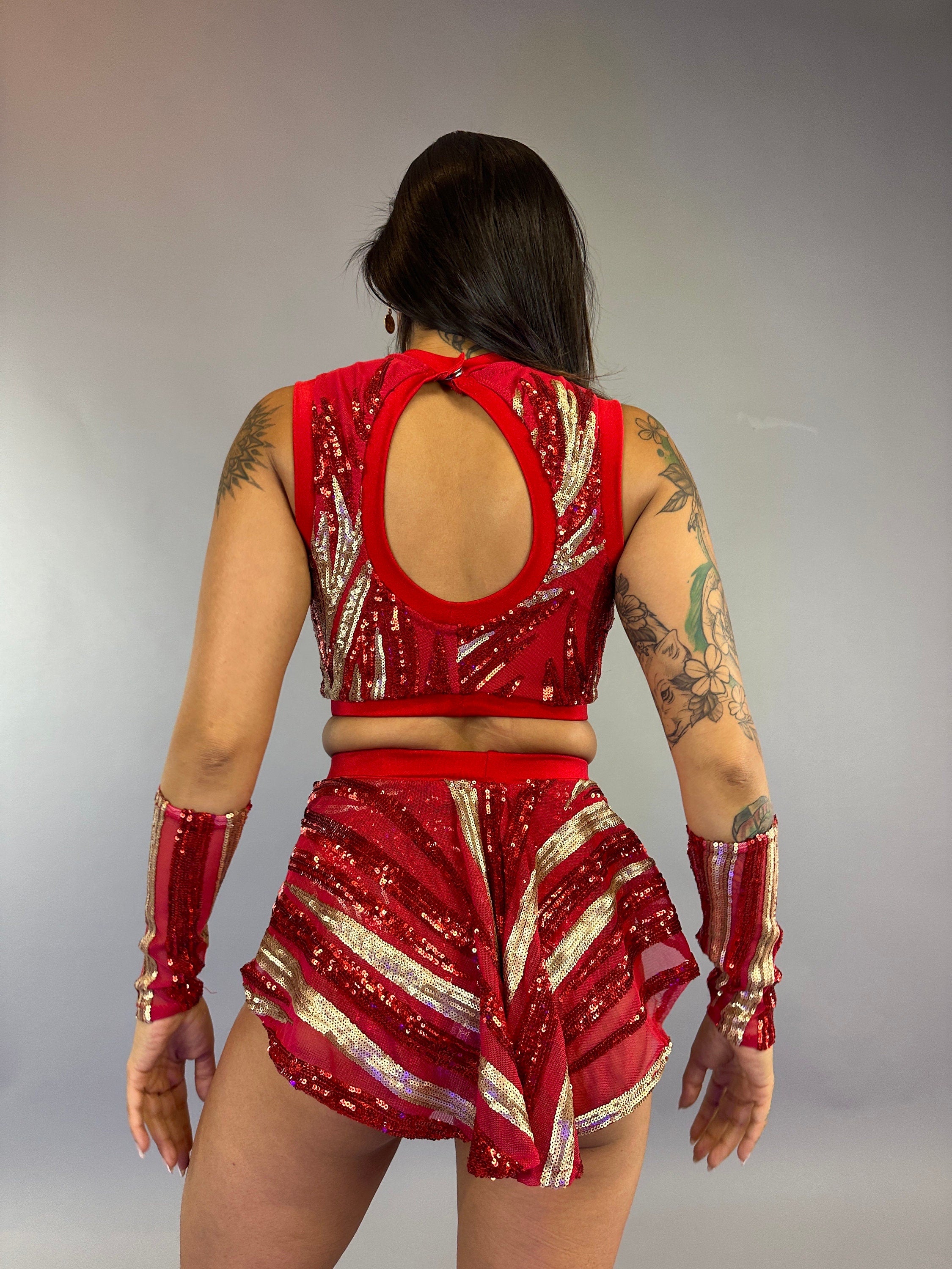 Exotic Dance Wear, Pole Dancer Outfit, Showgirl Costume, Trending Now, Gogo Dancer Costume, Aerialist Gift