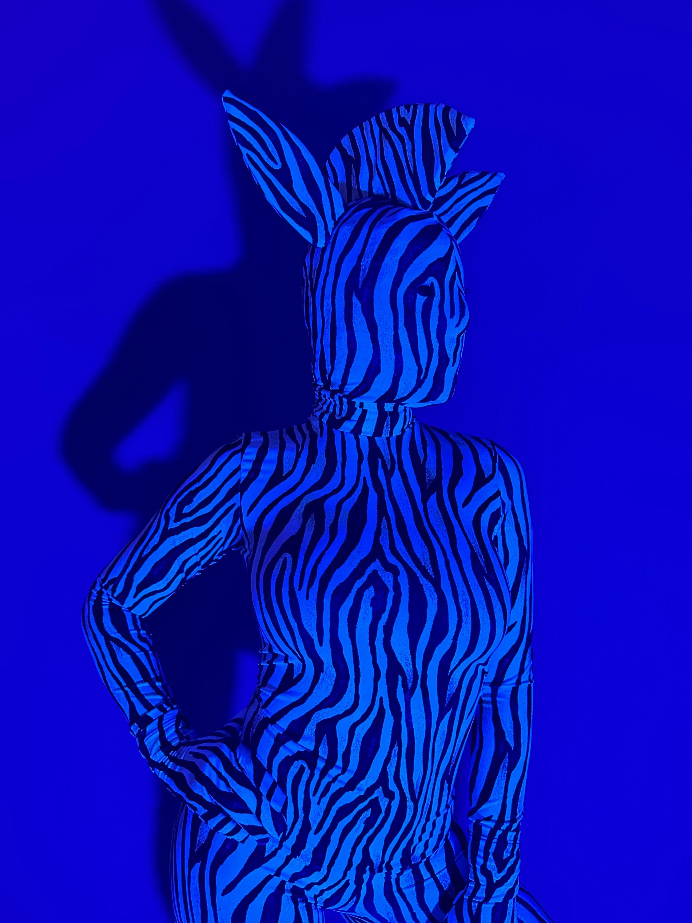 Zebra Costume, Festival Fashion, Exotic Dance Wear, Trending Now, Gymnastic Costume, Cosplay Costume, Contortionist Outfit, Club Wear