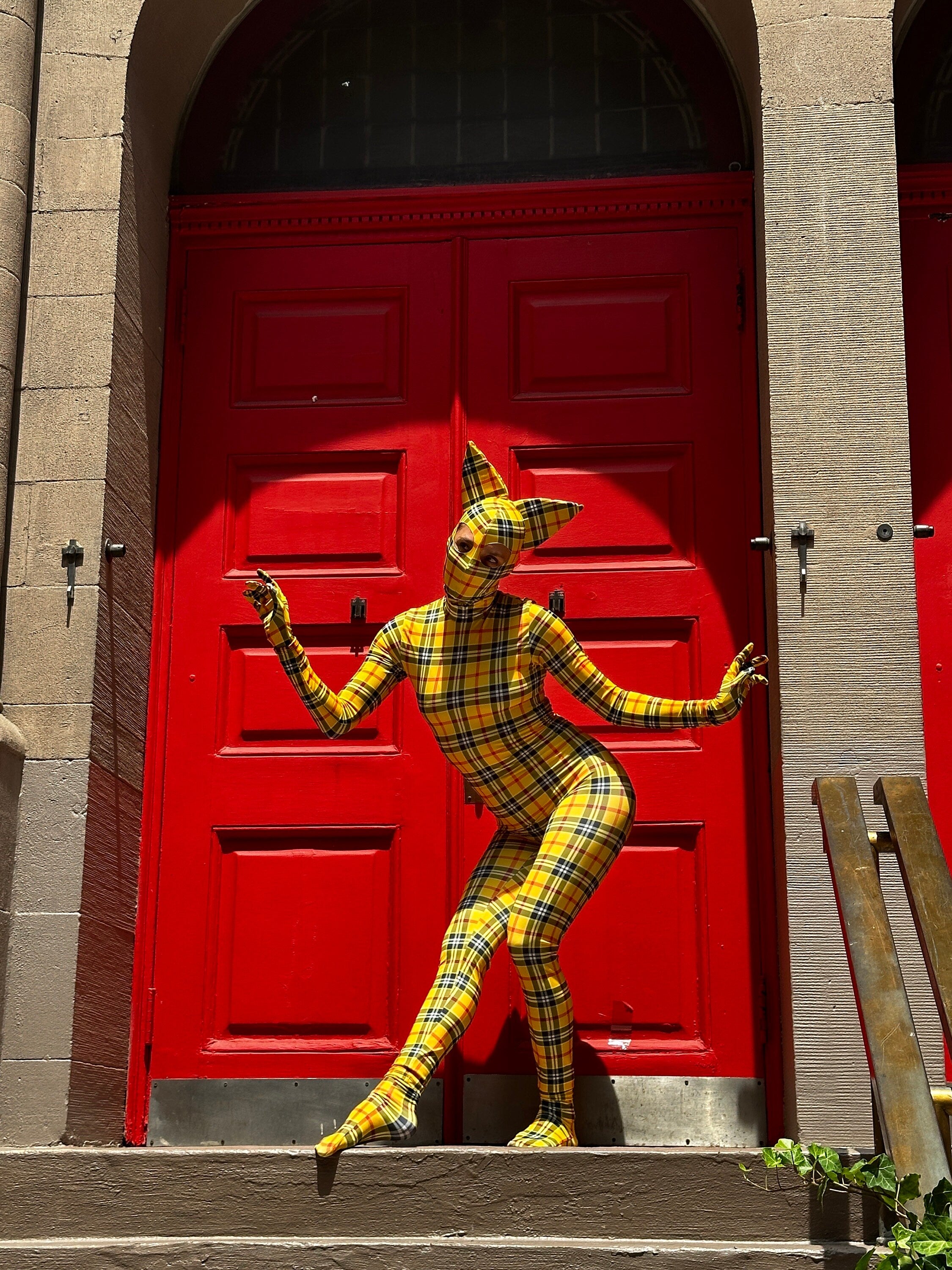 Kitty Costume, Futuristic Fashion, Trending Now, Exotic Dance Wear, Burning Men, Artistic Costume