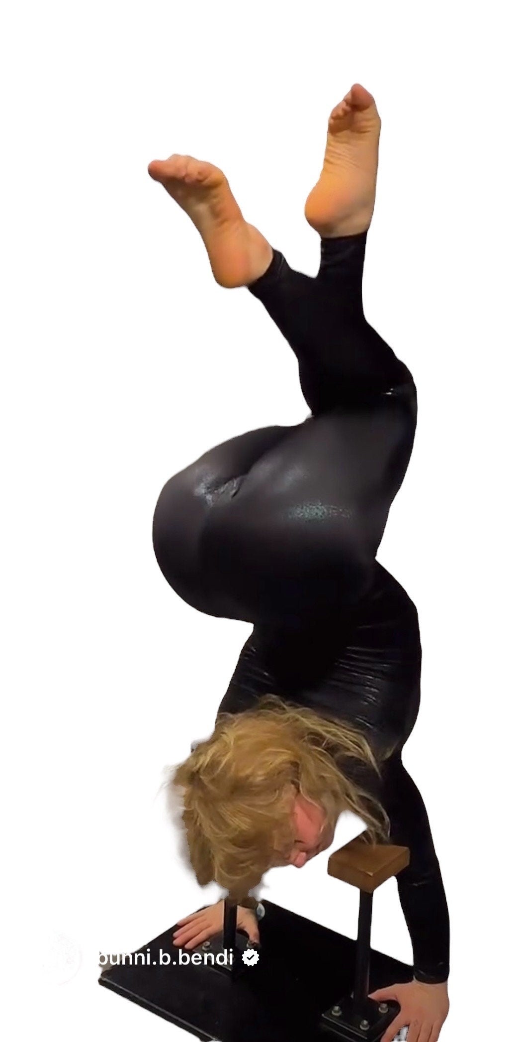 Bodysuit for woman or man, Catwoman costume, trending now, spandex bodysuit, aerialist costume, exotic dance wear.