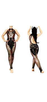 Showgirl Costume, Sexy Open Back, Sequins Mesh Catsuit, Unitard for Contortionist, Sheer Jumpsuit, Dance Party Outfit