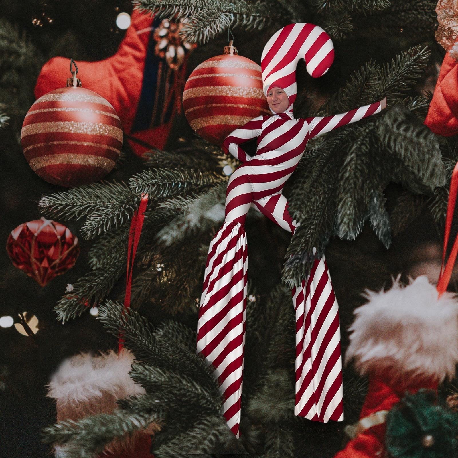 Stilt Walker. Silts covers. Christmas costume. Holiday costume