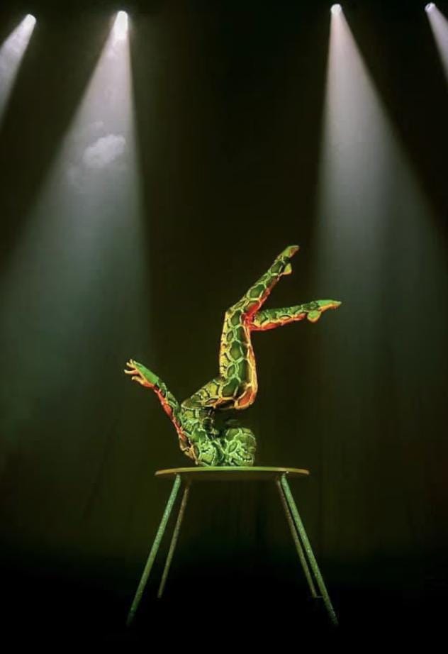 Snake costume, Contortion outfit, exotic dance wear, water sport clothing, spandex catsuit, trendy now, festival fashion.