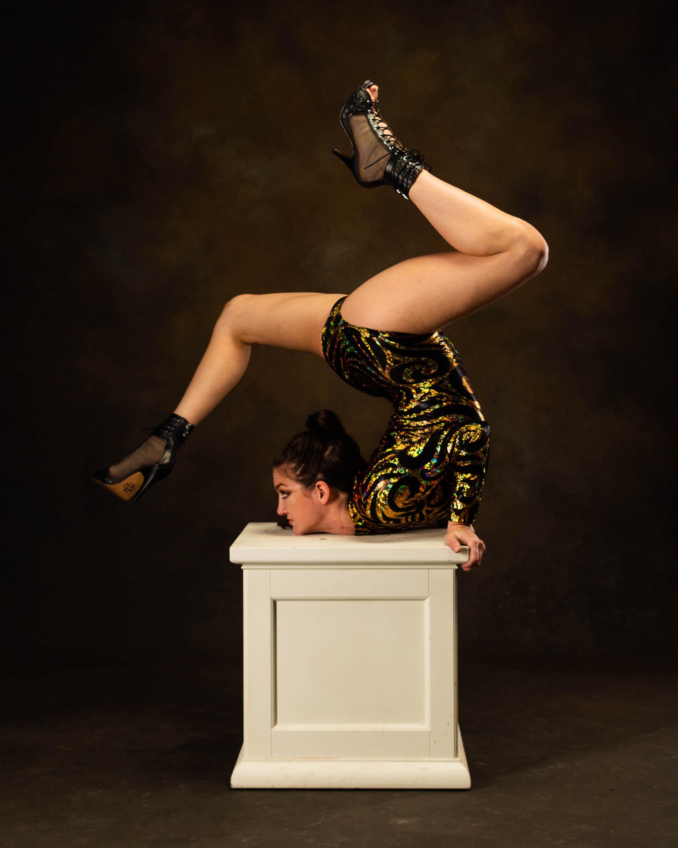 Elegant Spandex Leotard: Gymnastic Costume, Exotic Dance Wear, Circus Performer Outfit, Festival Fashion