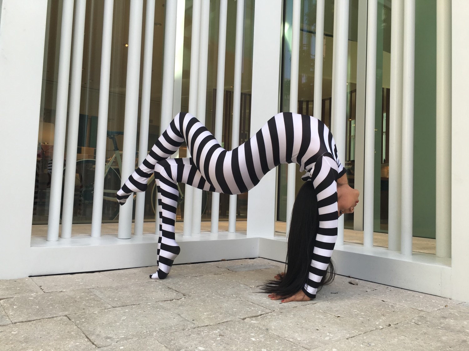 Flying Circus Aerialists Gift, Bodysuit for Women or Men, Beautiful Spandex Catsuit, Custom Made in USA