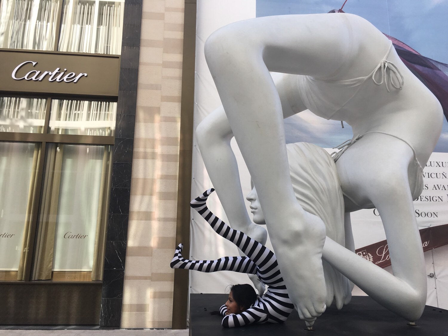 Flying Circus Aerialists Gift, Bodysuit for Women or Men, Beautiful Spandex Catsuit, Custom Made in USA