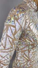 Beautiful Sheer Bodysuit, Exotic dance wear, see-trough catsuit, Trending Now, iridescent Costume. Festivals fadhion