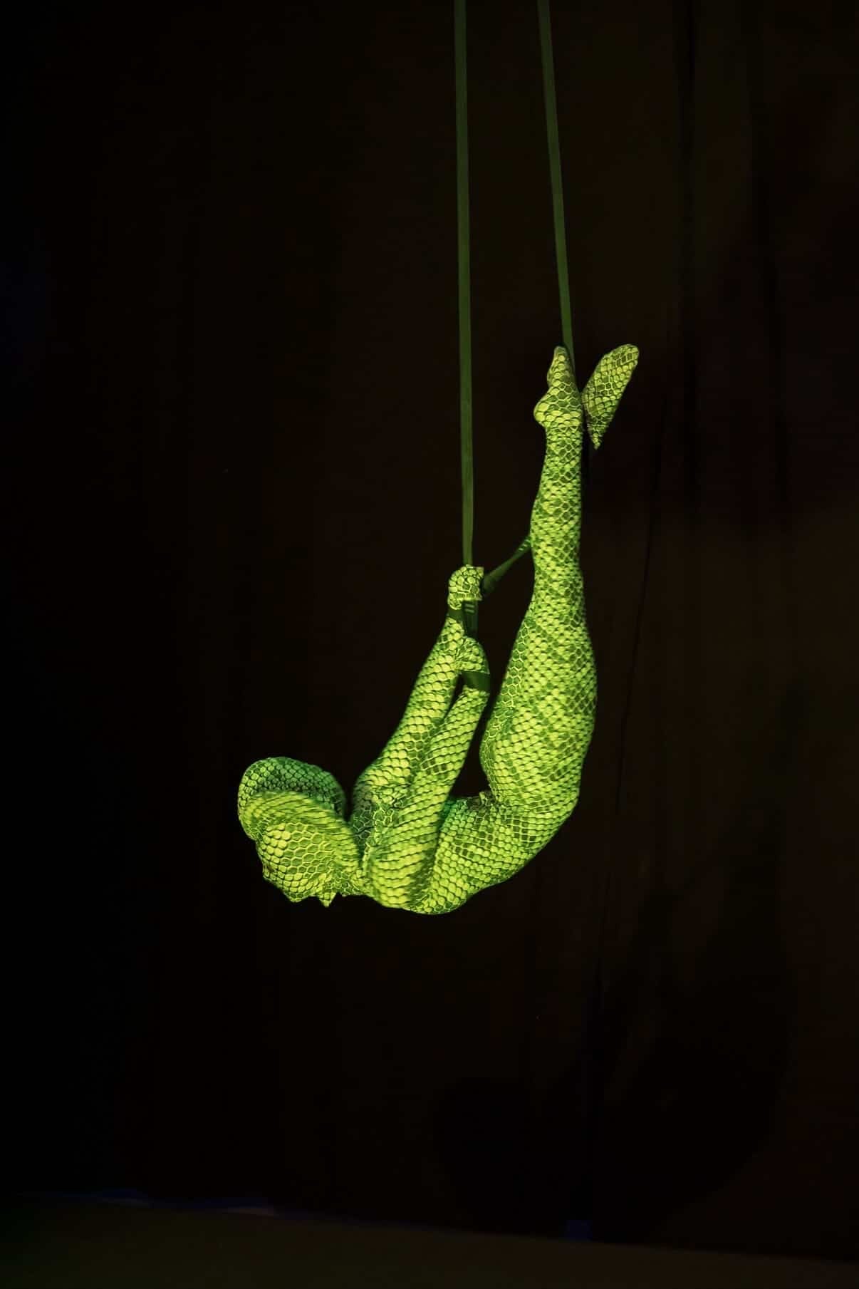 A performer in a Green pixel Cobra Costume—snake print catsuit and headdress—hangs upside down on aerial straps against a black background.