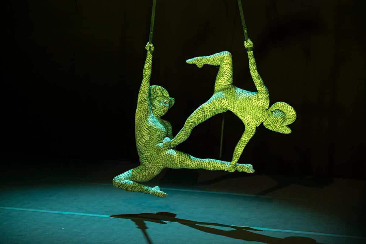 Two performers in Green Pixel Cobra Costume Snake Print Catsuits execute an aerial act, suspended midair by ropes on a dark stage.