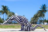 Black & White Striped Catsuit Costume, Headpiece With Cat Ears, Gloves, Socks