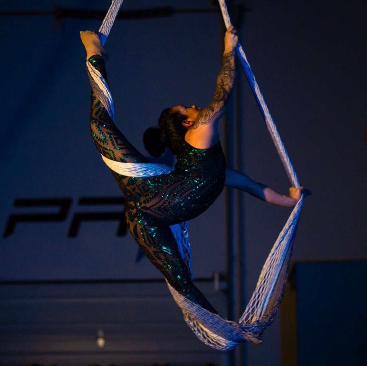 Deep Forest, Glamour Catsuit, Sequins Jumpsuit, Stage Costume, Gymnastic and Party Outfit