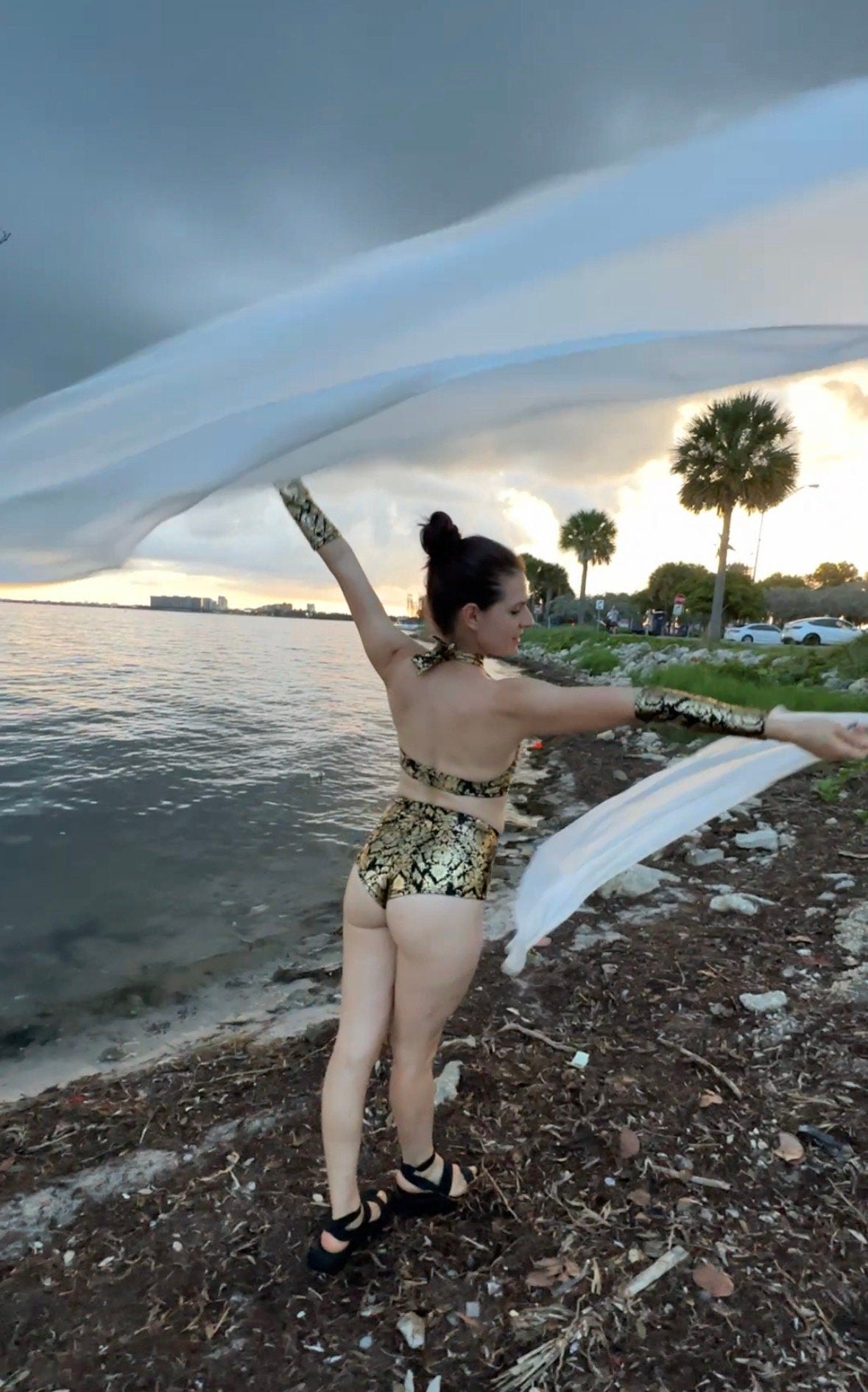 Exotic Dance Wear, Pole Dancer Outfit, Showgirl Costume, Trending Now, Gogo Dancer Costume, Festival Fashion