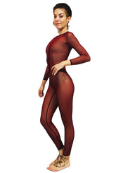 Dark Cherry Mesh Catsuit, Bodysuit, Costume for Dancers, Circus Performers, Festival Party