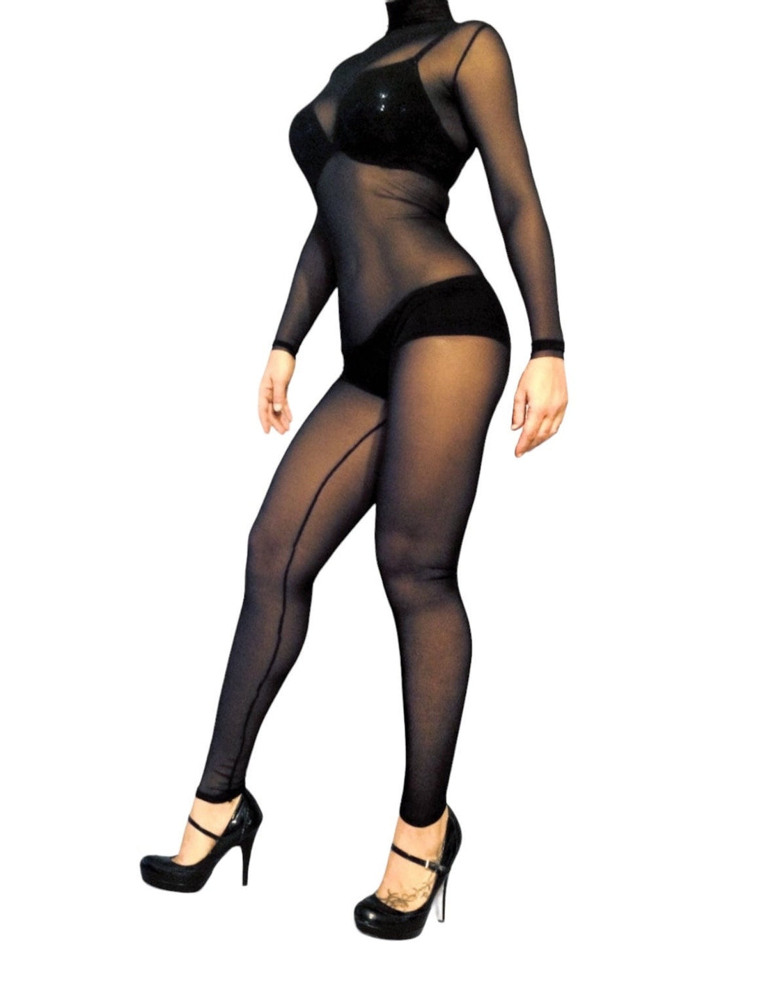 Black Sheer Catsuit Bodysuit, Full Sleeves, Turtleneck