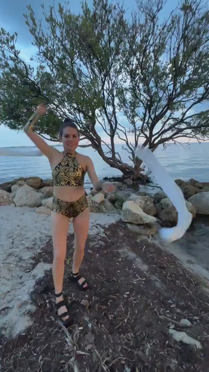 Royalty Gold Dance Costume, Foil Print Spandex Set, Halter Crop Top and High Waist Shorts, Pole Dance Outfit, Arm Sleeves