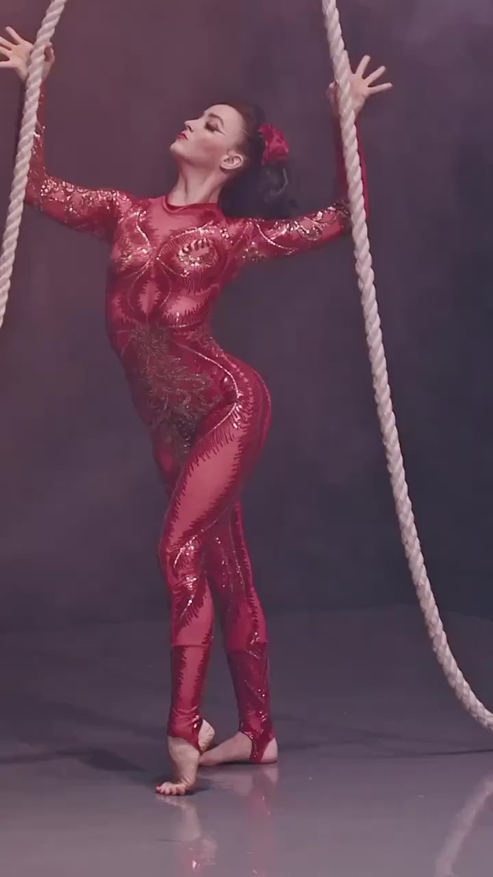 Showgirl Costume, Sequin Bodysuit for Women or Men, Shiny, Beautiful Contortionist Costume, Exotic Dance Wear, Trending Now