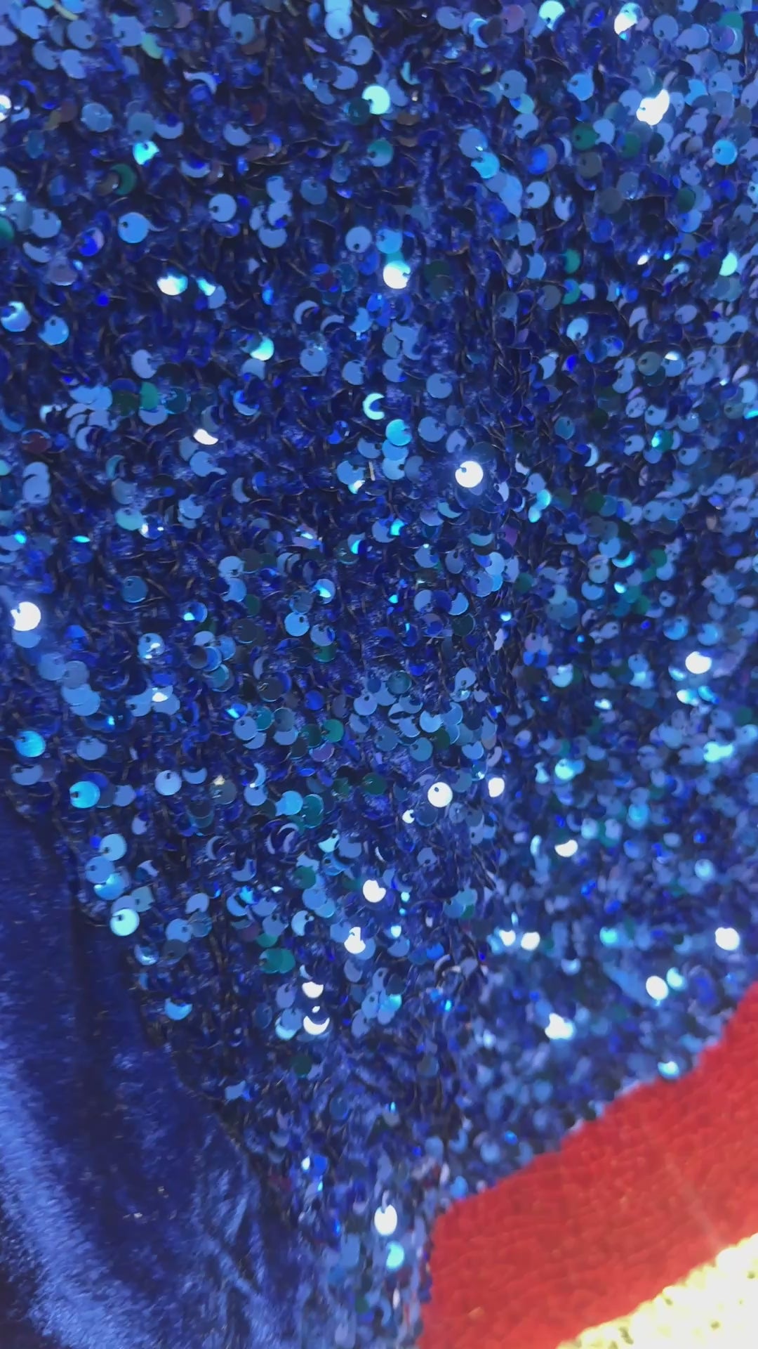 Black Sequin Leotard with Cascading Half Skirt