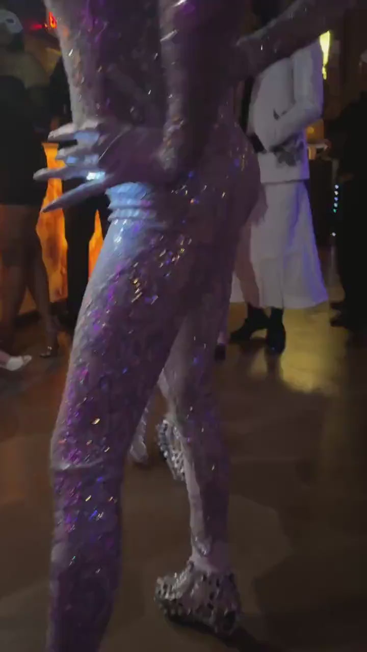 Silver Fairy Costume, Sequin Jumpsuit, Disco Night Outfit, Club Wear, Gymnastic Unitard, Sheer Mesh Spandex, Custom Made